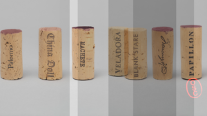 Usual Suspects Zoom BG