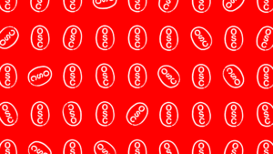 White on Red Zoom BG