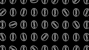 White on Black Zoom BG