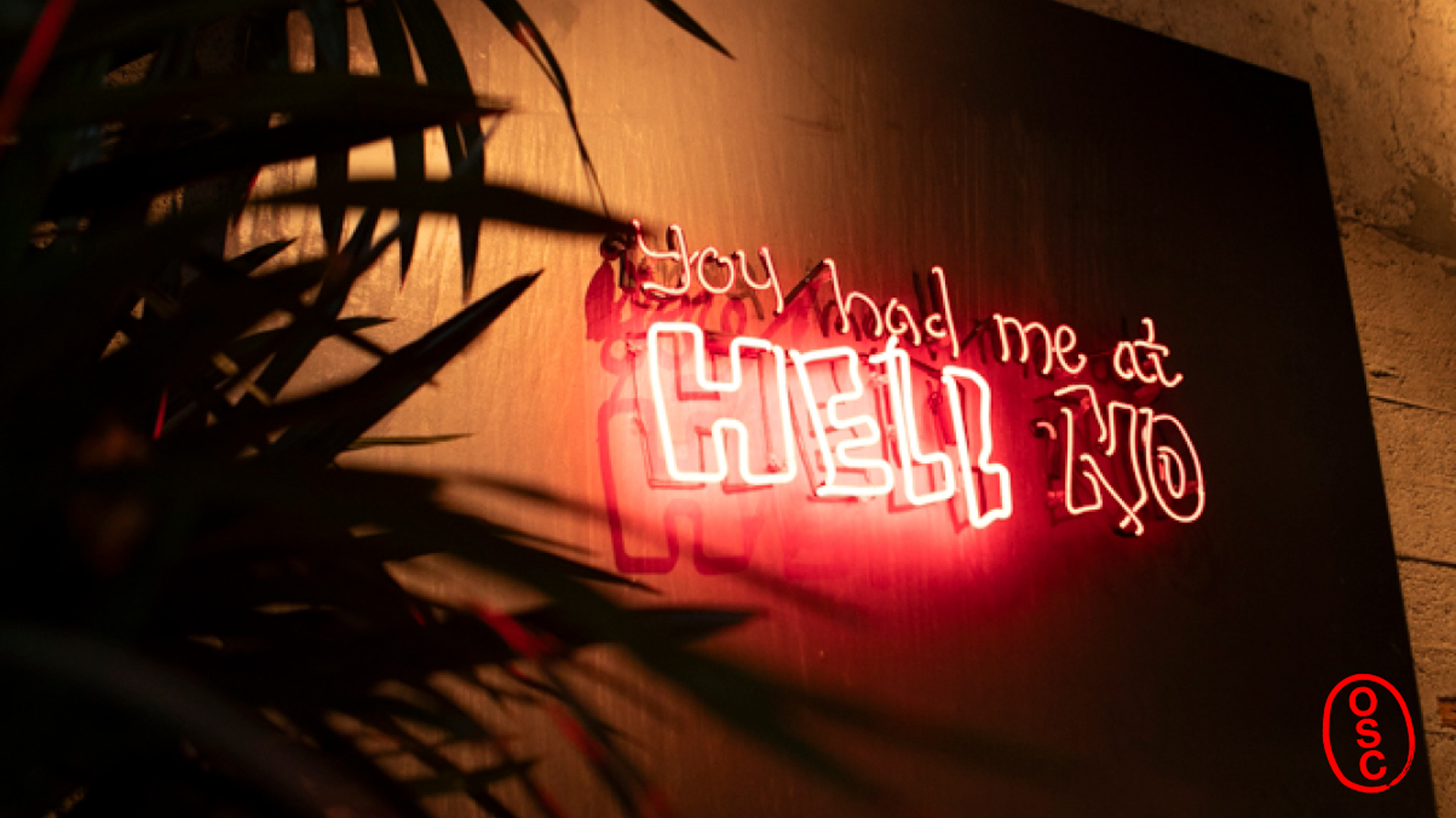 You Had Me at Hell No Background