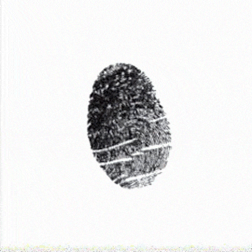 A GIF rotation of all the fingerprints featured on the label of 30 Years.