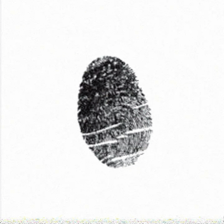 A GIF rotation of all the fingerprints featured on the label of 30 Years.